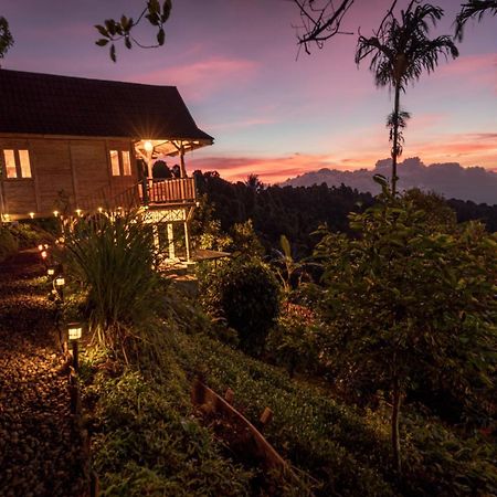 Bed and Breakfast Garden Terrace Bali Gobleg  Zewnętrze zdjęcie