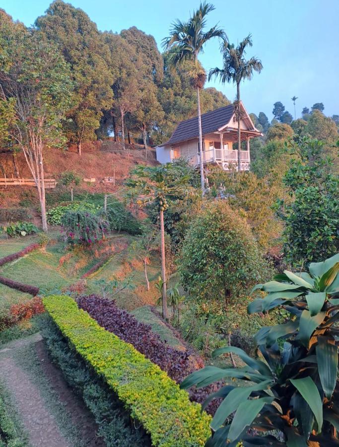 Bed and Breakfast Garden Terrace Bali Gobleg  Zewnętrze zdjęcie