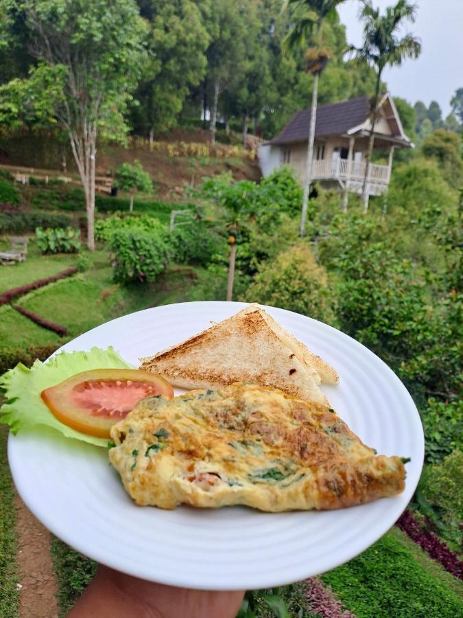 Bed and Breakfast Garden Terrace Bali Gobleg  Zewnętrze zdjęcie