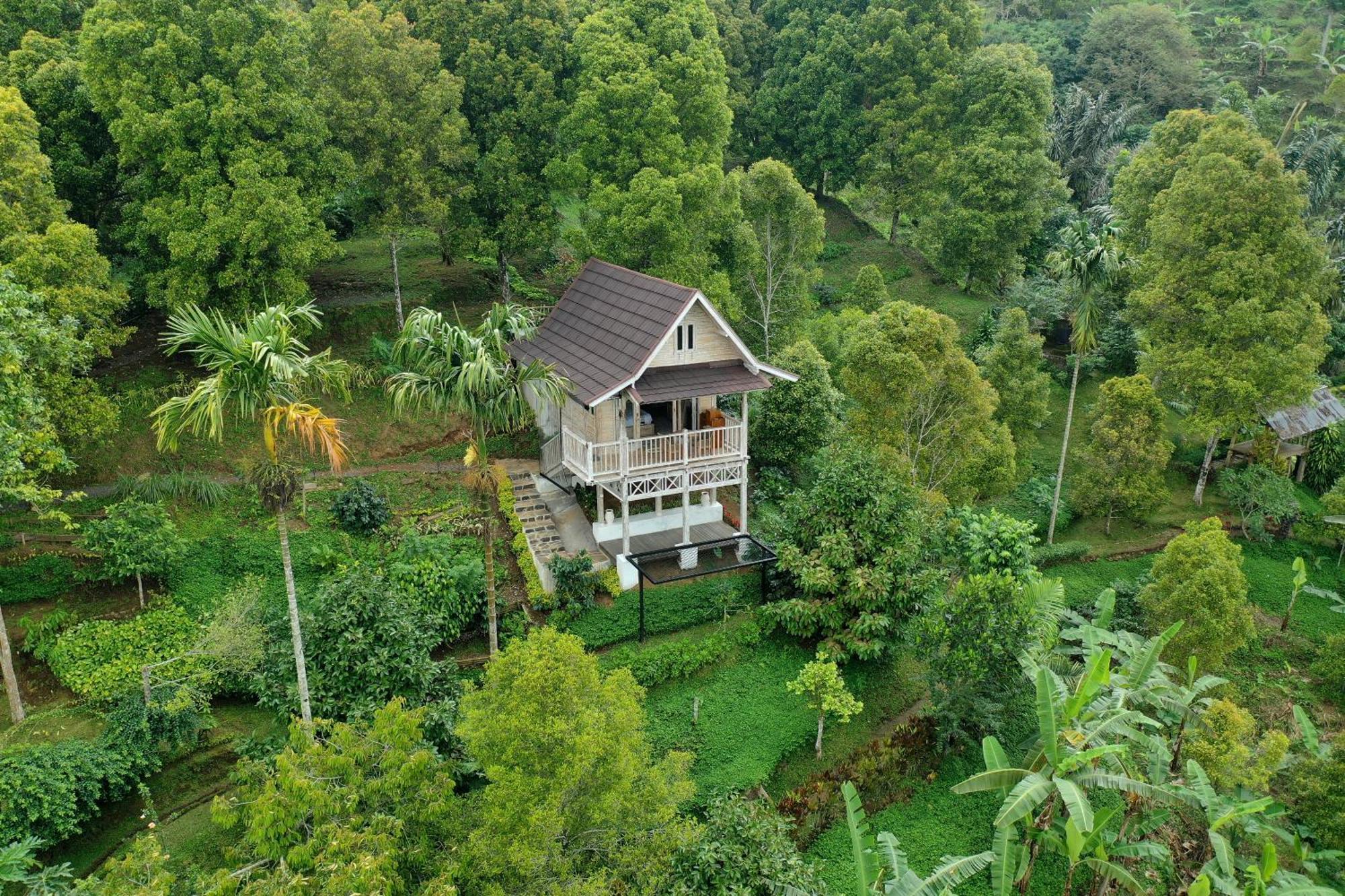 Bed and Breakfast Garden Terrace Bali Gobleg  Zewnętrze zdjęcie