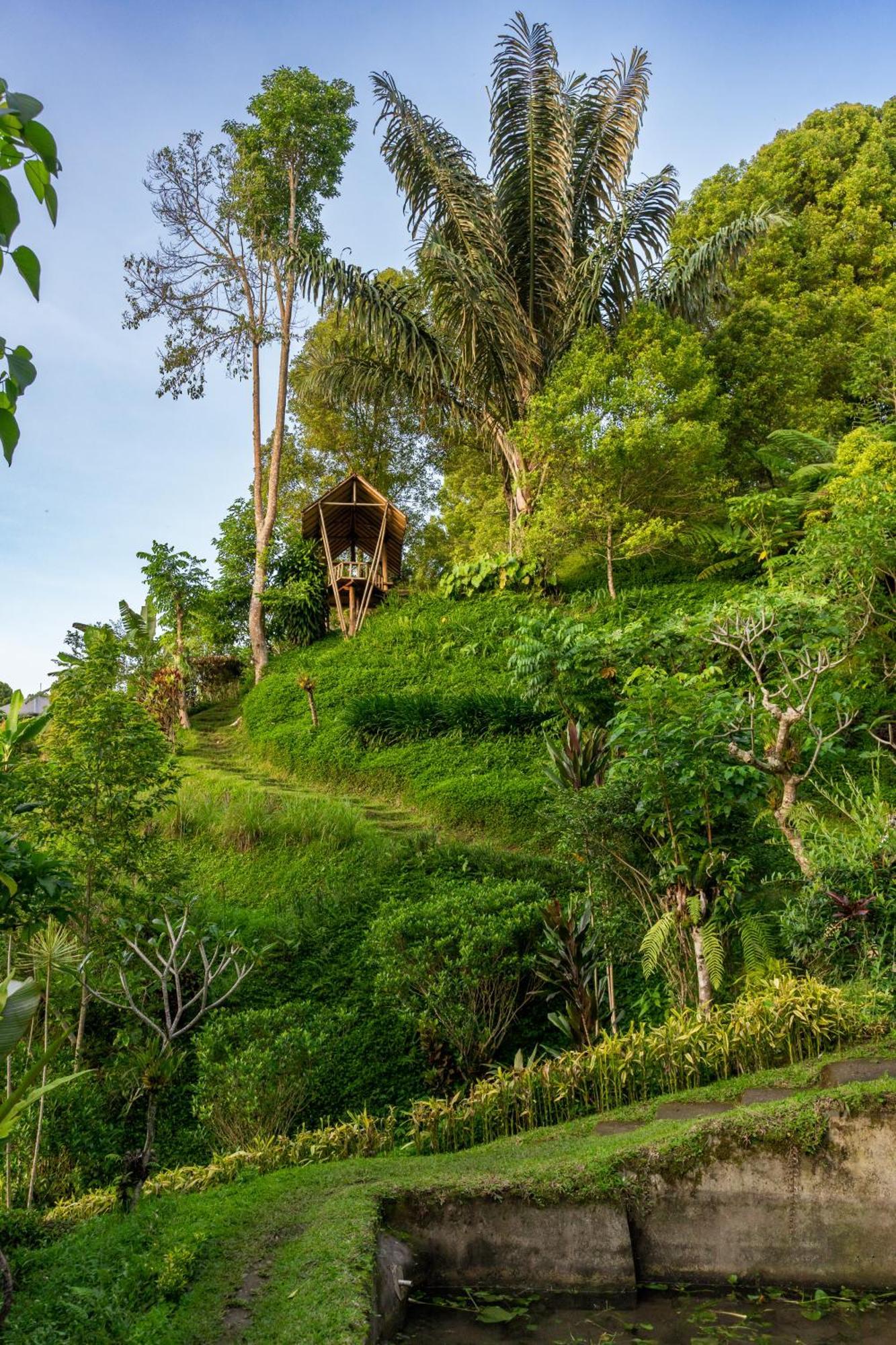 Bed and Breakfast Garden Terrace Bali Gobleg  Zewnętrze zdjęcie