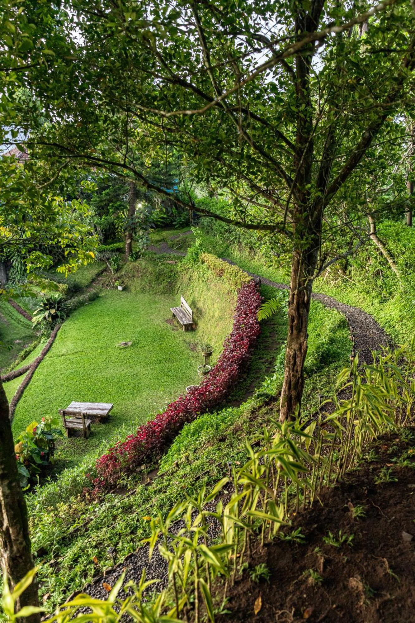 Bed and Breakfast Garden Terrace Bali Gobleg  Zewnętrze zdjęcie