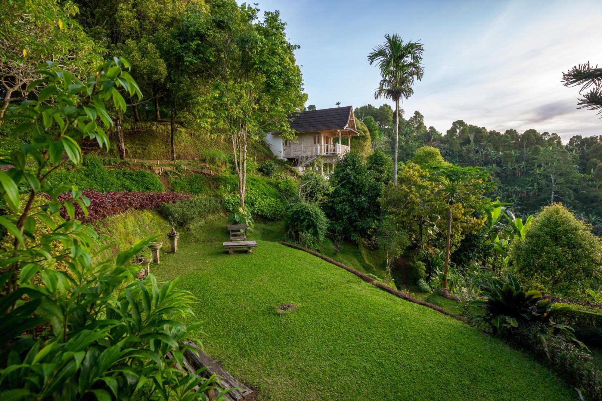 Bed and Breakfast Garden Terrace Bali Gobleg  Zewnętrze zdjęcie