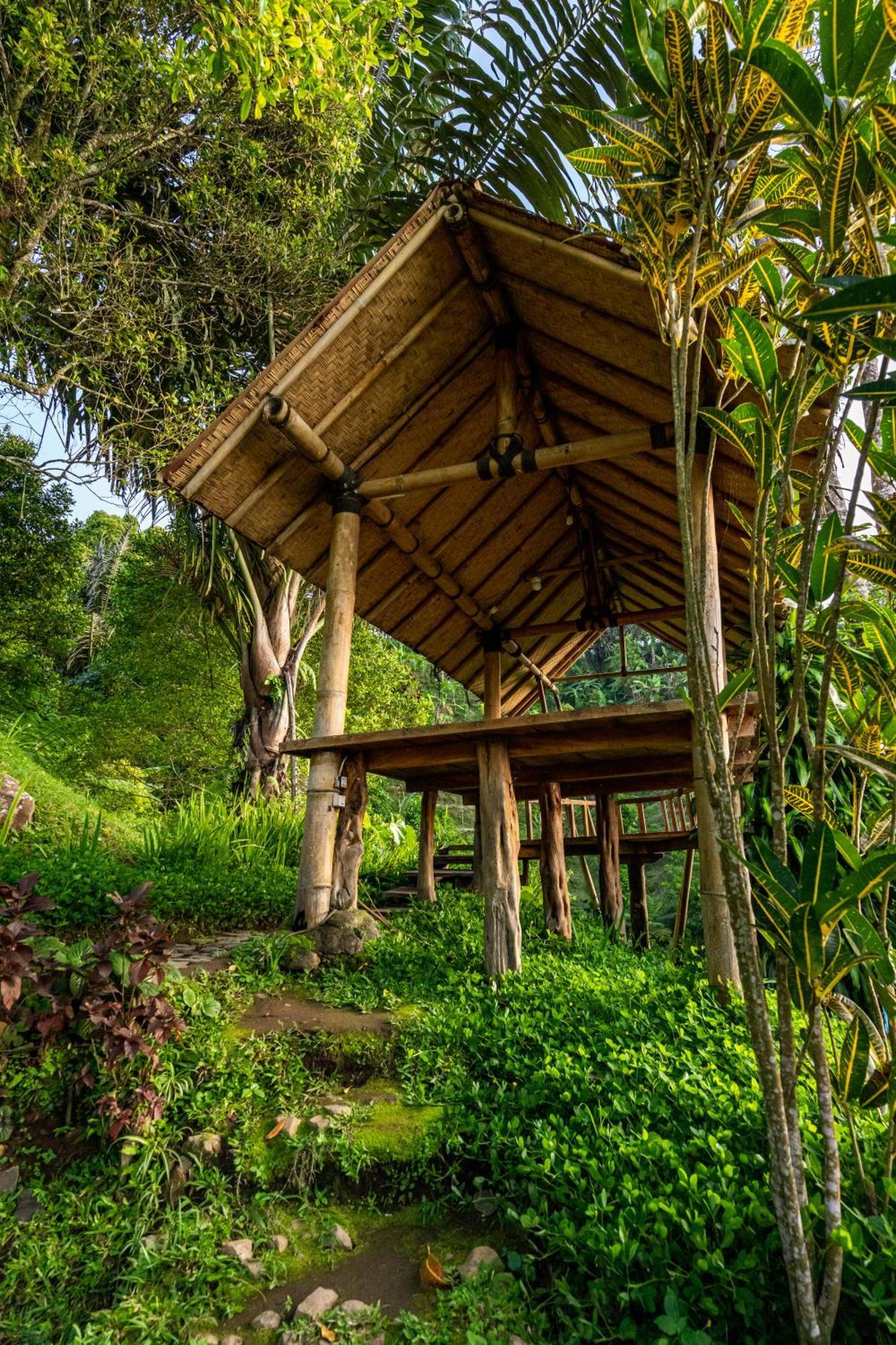 Bed and Breakfast Garden Terrace Bali Gobleg  Zewnętrze zdjęcie
