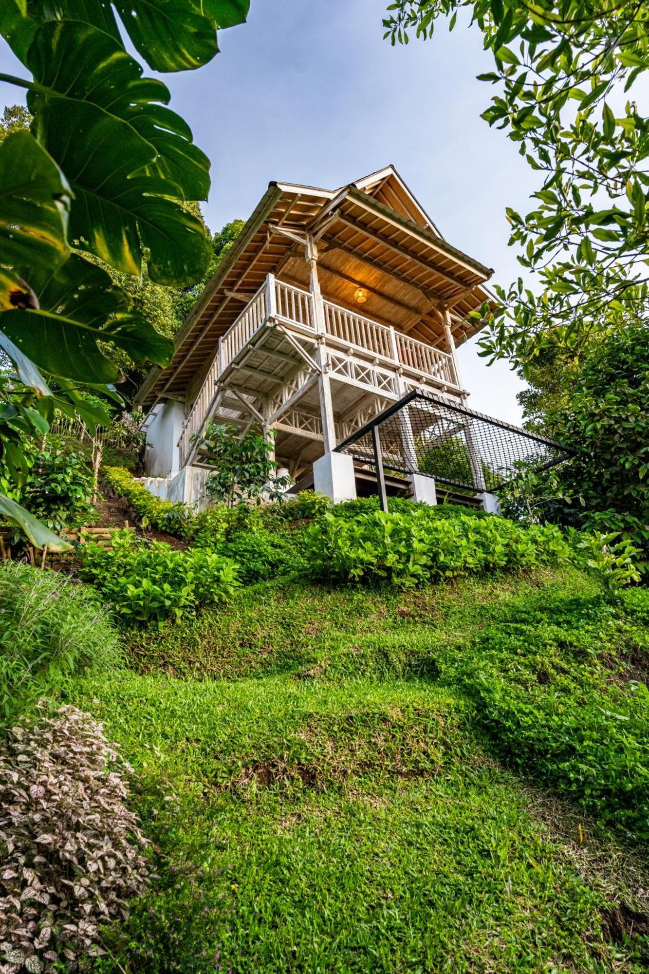 Bed and Breakfast Garden Terrace Bali Gobleg  Zewnętrze zdjęcie