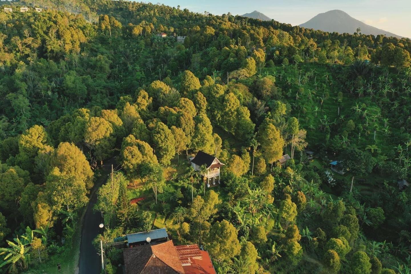 Bed and Breakfast Garden Terrace Bali Gobleg  Zewnętrze zdjęcie